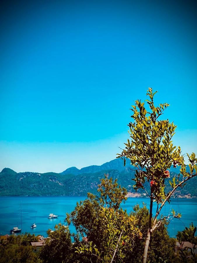 Defne Residence Selimiye 马尔马里斯 外观 照片